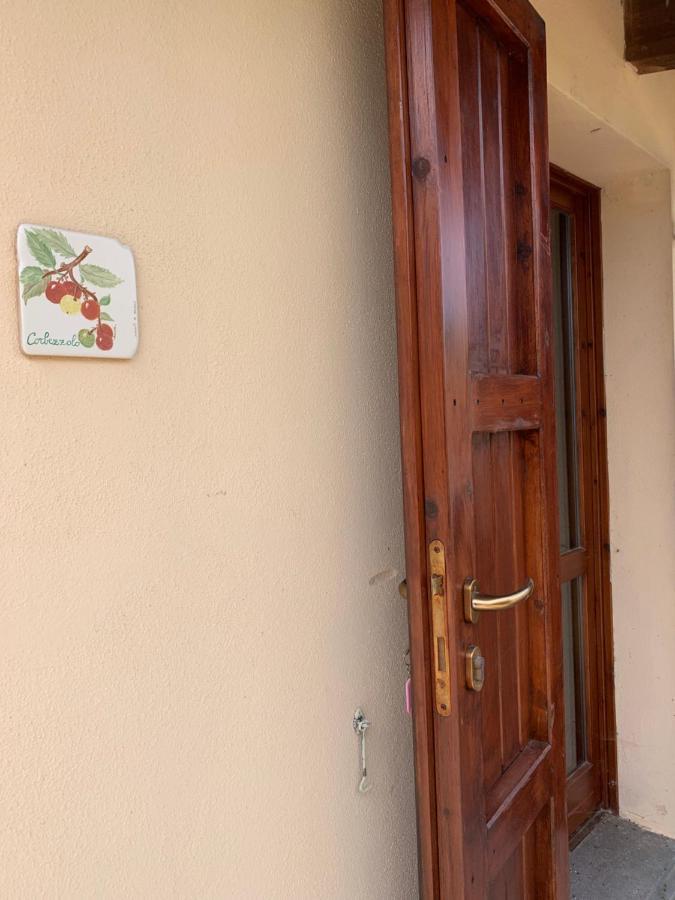 Agriturismo Terra Noas Villaurbana Ngoại thất bức ảnh